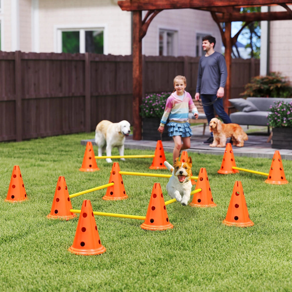 Set Agility per Cani 6 Pezzi ¨C Minimal ¨C Arancione