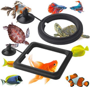 Corona d'oro - Visvoederring - Accessori per acquario - Set 2 pezzi