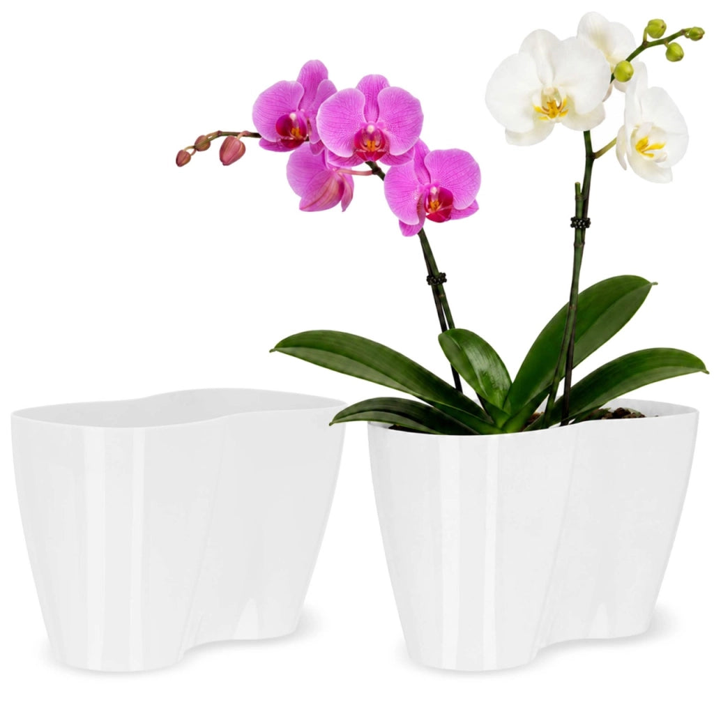 Vaso da fiori KADAX, Vaso da fiori, Vaso da fiori in plastica, Orchidea, 23 cm, Bianco