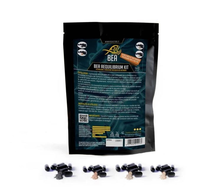 Bea Aequilibrium 40cps  - ceppi batterici accuratamente selezionati per acquari marini