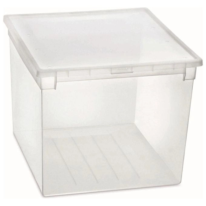 Terry 1002677 Light Box 52 XXL Contenitore Multiuso Portaoggetti 50 L Impilabile con Coperchio colore Trasparente