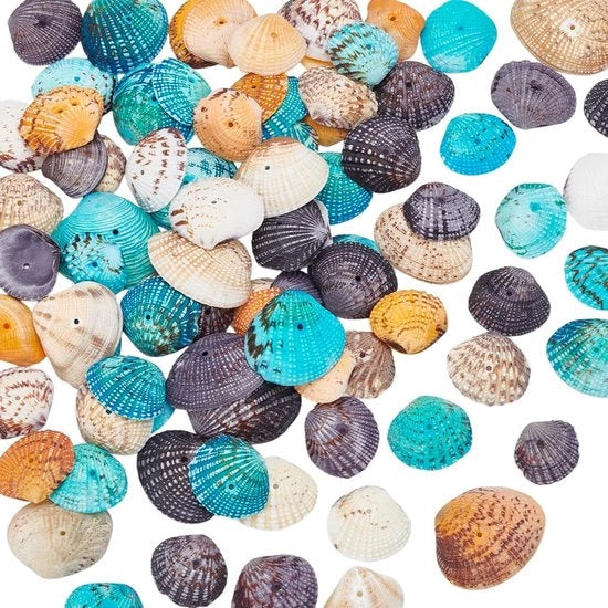 Conchiglie naturali - Grosso conchiglione di San Giacomo - Creativo e versatile - Piccole conchiglie forate - Ideali per decorazioni