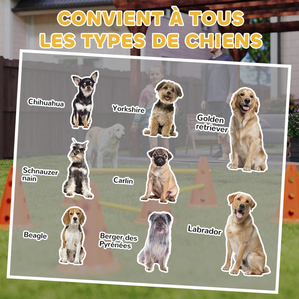 Set Agility per Cani 6 Pezzi ¨C Minimal ¨C Arancione