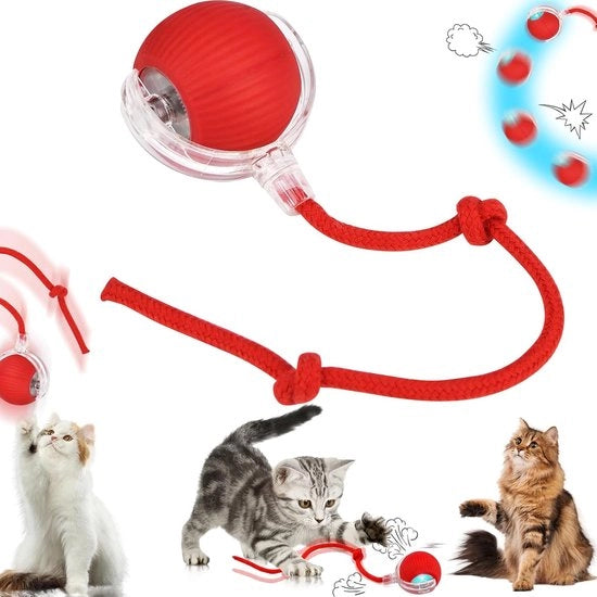 Giocattolo Elettrico a Rulli per Animali Domestici - Giocattolo per Caccia per Gatti - Rulli Elettrico a 360° Automatico per Gatti e Cani di Tutto Tipo