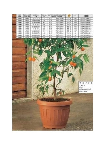 Vaso da giardino esterni colore terra marrone 20 cm bama